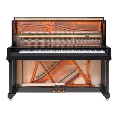 Bösendorfer klavieres, Grands un Uprights, modelis Grand Upright 120